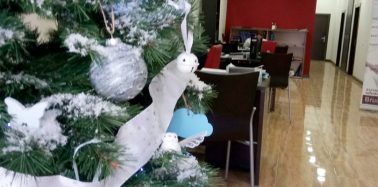 Artículo: ¡Felices Fiestas!